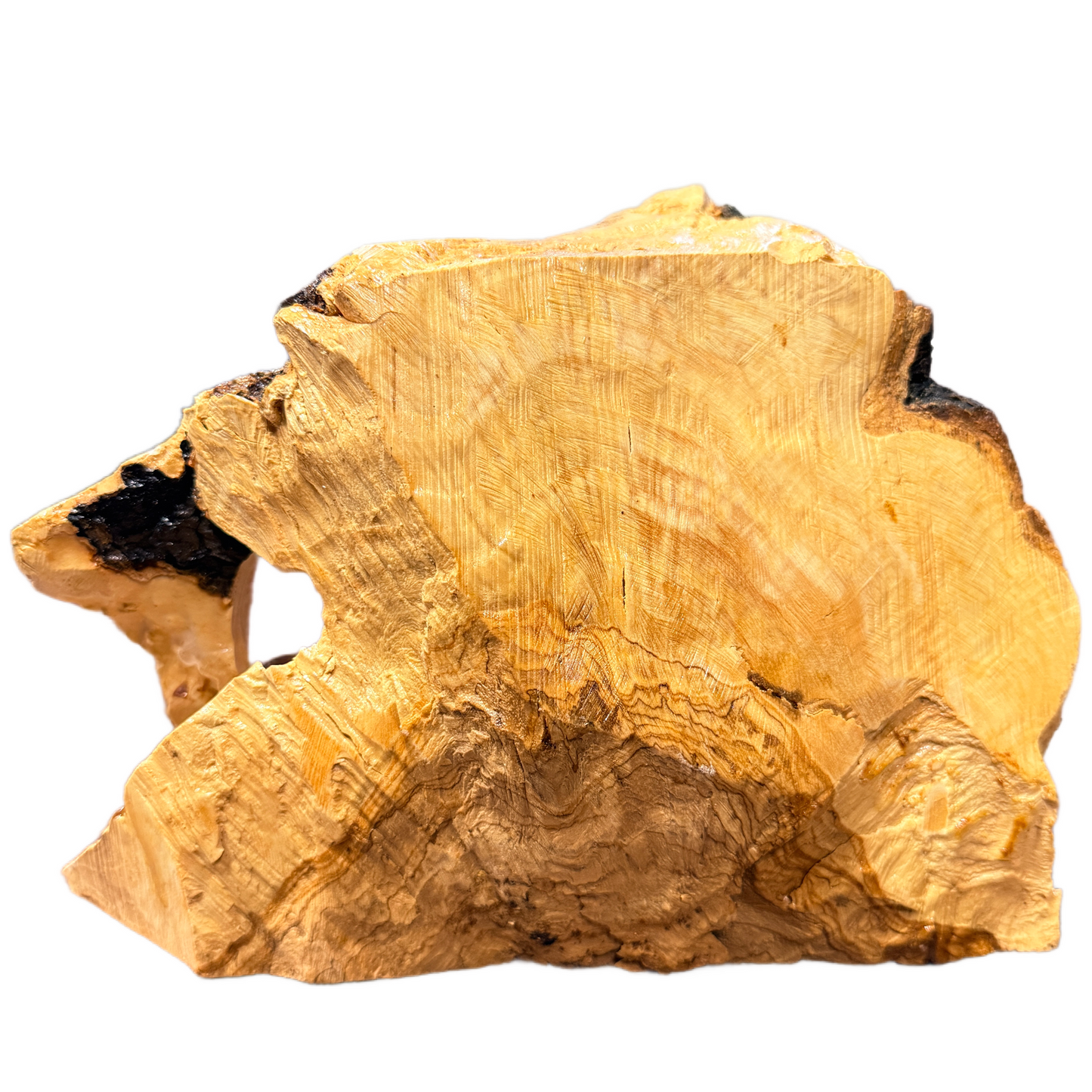 Large Olive Wood Nativity with Natural Bark — Handmade in Bethlehem