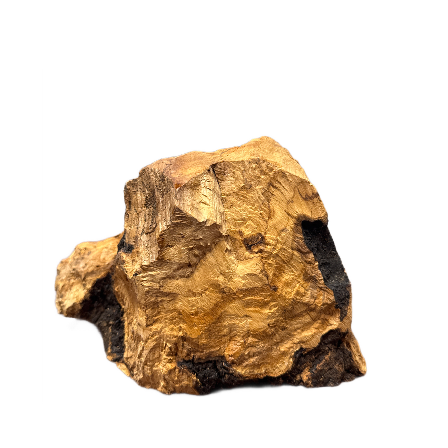 Medium Olive Wood Nativity with Natural Bark — Handmade in Bethlehem